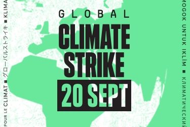 Global Climate Strike. Mai multă educație pentru mediu